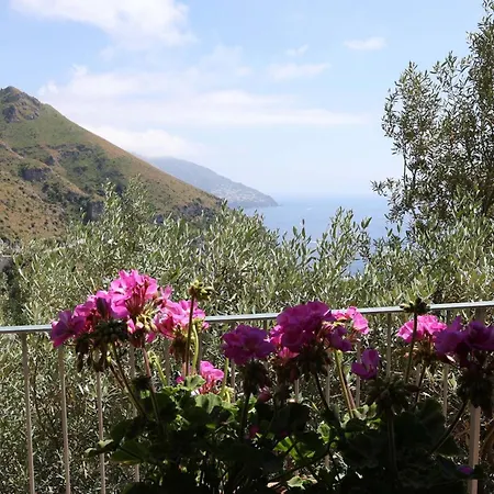 Holiday home - Casa Alina